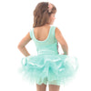 Dream Fairy Skirted Leotard