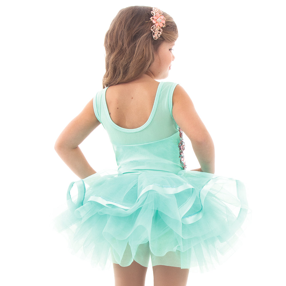 Dream Fairy Skirted Leotard