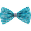 Large Rhinestone Bow with Contrast Trim