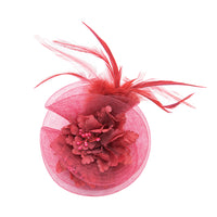 Hair Fascinator Clip